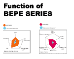 Function of BEPE
